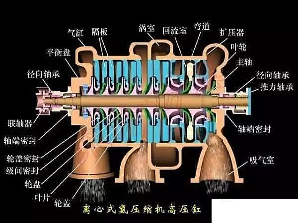 ���������X�S�҉��s�C(j��)֪�R(sh��)��(w��n)��󿂽Y(ji��)