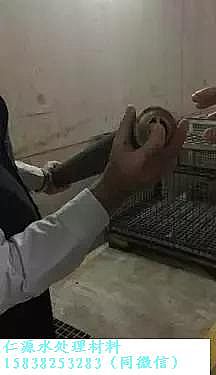 仁源陰離子聚丙烯酰胺HPAM廠家帶您走近德國柏林Wassmannsdorf 污水處理廠