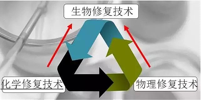 無煙煤濾料生產廠家公布水體修復的重量級資料