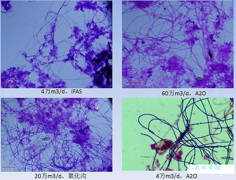 聚合氯化鋁鞏義廠家頒布污水處理升級改造的五個關鍵問題