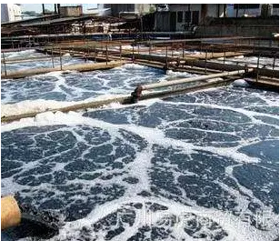 ʯӢɰ�V�����a(ch��n)�S����ʷ��