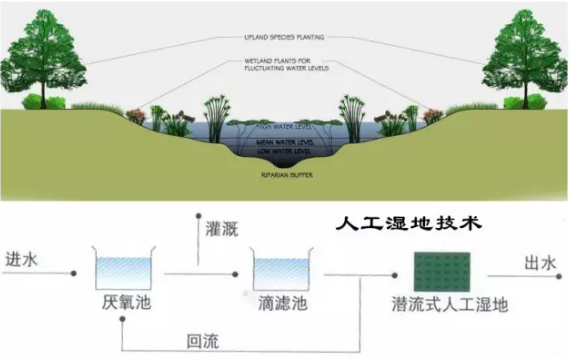 ʯӢɰ�V�����a(ch��n)�S����ʷ��