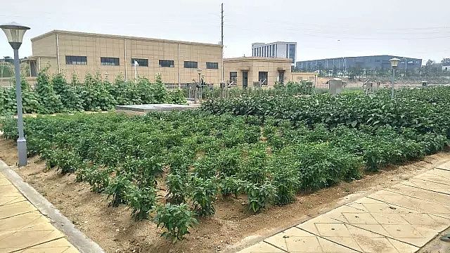 �����V�����a(ch��n)�S�ҡ���@ʽ��ˮ�S