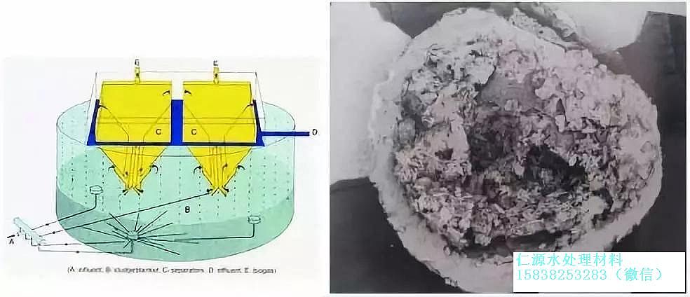 海綿鐵濾料除氧劑廠家話說厭氧技術的前世今生