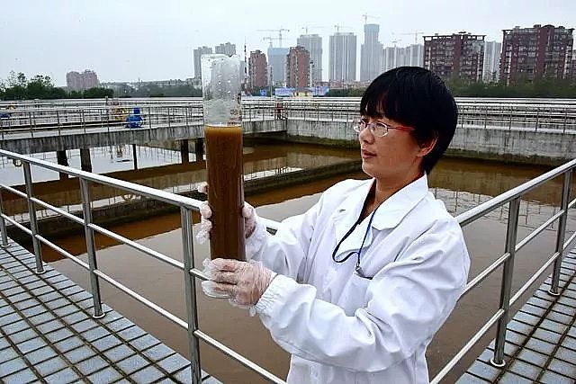 聚合氯化鋁PAC廠家—“綠色家族”為何與可持續(xù)發(fā)展?jié)u行漸遠(yuǎn)