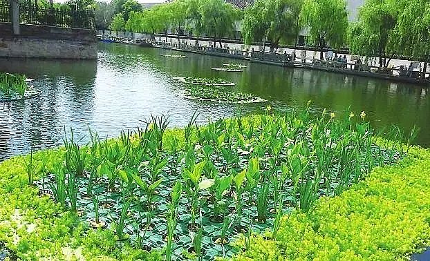 �o��ú�V�����a(ch��n)�S�ҳ��кڳ�ˮ�w����