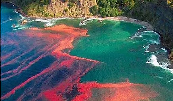 ��ʯ�V�����a�S�ҽ�����������������������B���������B�����P�ϵ�