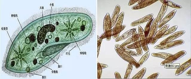 泡沫濾珠濾料EPS廠家工業水處理技術眼花繚亂,拒絕忽悠刻不容緩!