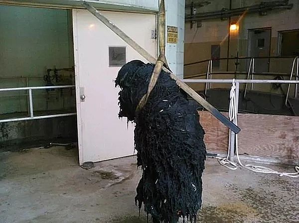 椰殼活性炭生產(chǎn)廠家美國(guó)污水處理廠每天打撈出1噸污物