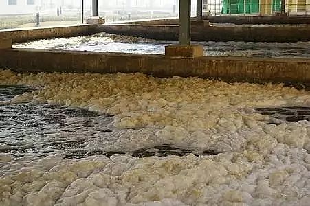 �(y��ng)�x�Ӿ۱�ϩ�����S���P(gu��n)��������Û�����@һƪ�͉���