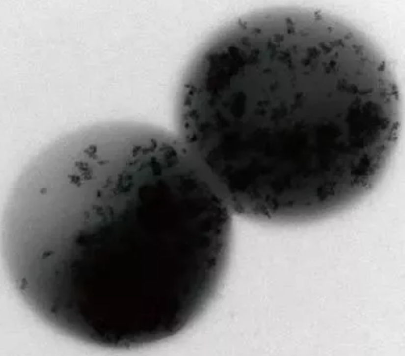 火山巖生物濾料生產廠家盤點2018年工業(yè)水處理領域的新科技