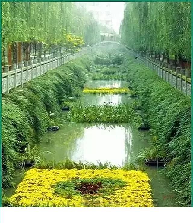 �۱�ϩ����PAM���a�S�ҿ��Y�ӵ������`�^�����������������