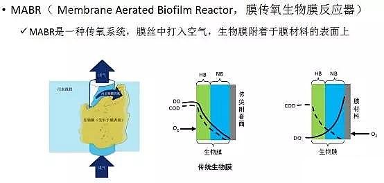 ��ˮ���ۺ��Ȼ��XPAC�S��δ����ˮ̎�����g�İlչ��������