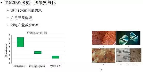 ��ˮ���ۺ��Ȼ��XPAC�S��δ����ˮ̎�����g�İlչ��������