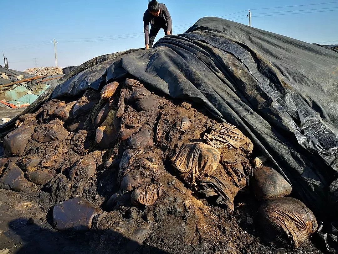 陽離子聚丙烯酰胺CPAM廠家觸目驚心大量油泥油渣傾倒坑塘污染嚴重!