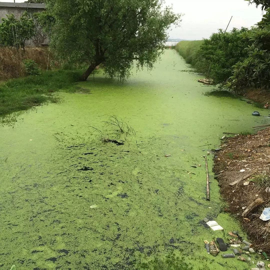 ��������ʯ�V�����a(ch��n)�S�Ұ����Uˮ�ā�Դ�cΣ��