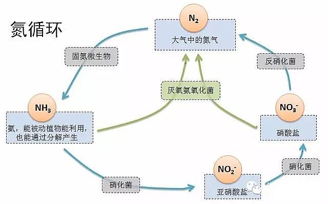 �w�S��?y��n)V�ϏS�҅�����������ȫ��İl(f��)չ