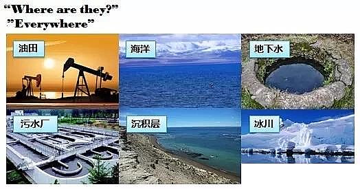 �w�S��?y��n)V�ϏS�҅�����������ȫ��İl(f��)չ