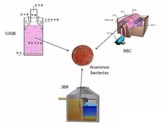 �w�S��?y��n)V�ϏS�҅�����������ȫ��İl(f��)չ