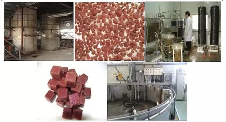 �w�S��?y��n)V�ϏS�҅�����������ȫ��İl(f��)չ