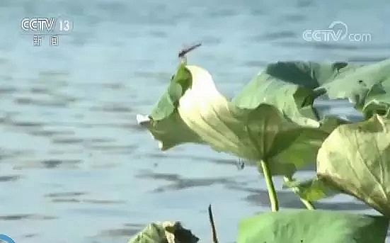 錳砂濾料廠家加快京津冀地下水超采治理