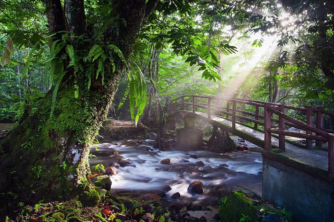 HPAM��x�Ӿ۱�ϩ�����S�ң�����ˮ�����ѽ�������45�|�����Ҳ���Ҫ���