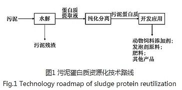 培菌葡萄糖廠家城市污泥中蛋白質資源化
