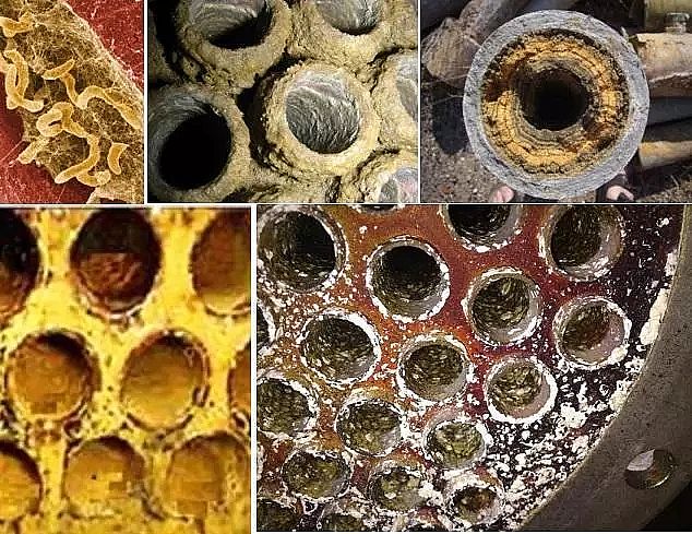 ���g�蹸���S��ѭ�h��sˮϵ�y�еĳ��e�Ｐ�����