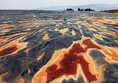 ��Դˮ̎�턩�S�����၆�F���a(ch��n)�S�ҡ��h(hu��n)���ޏ�(f��)�(xi��ng)Ŀ��(j��ng)������ʲô�����Ҫ???