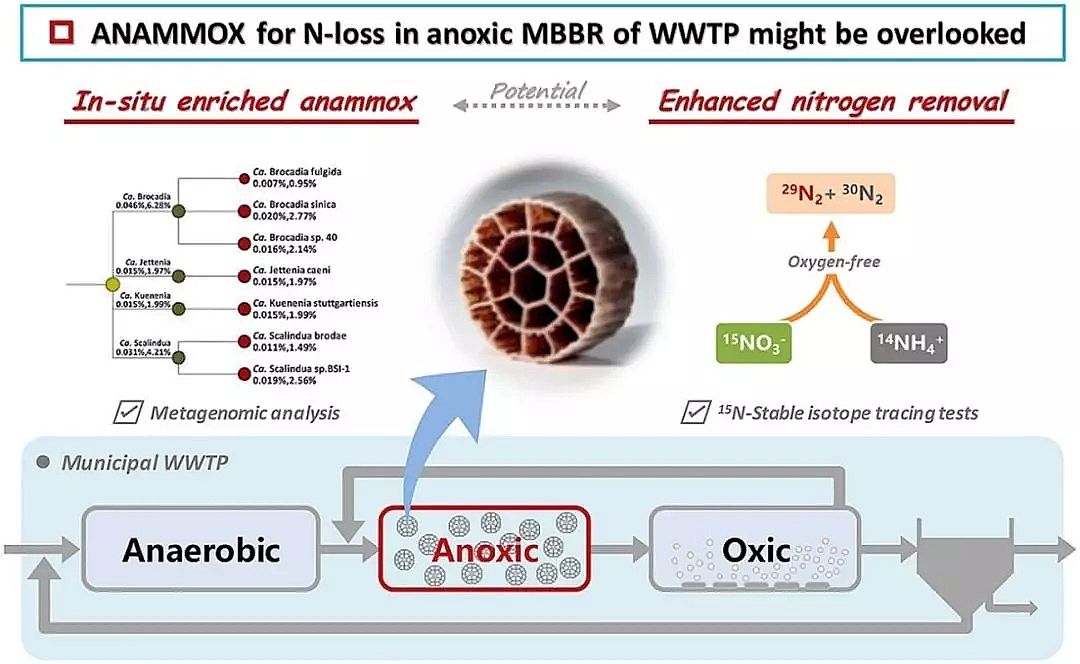 優質生物流化床填料MBBR生產廠家推送宏基因組學和物料守恒定量分析缺氧MBBR(中國某大型污水處理廠)中厭氧氨氧化脫氮貢獻