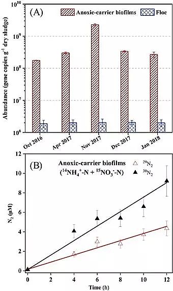 優質生物流化床填料MBBR生產廠家推送宏基因組學和物料守恒定量分析缺氧MBBR(中國某大型污水處理廠)中厭氧氨氧化脫氮貢獻