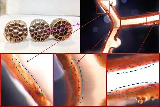優質生物流化床填料MBBR生產廠家推送宏基因組學和物料守恒定量分析缺氧MBBR(中國某大型污水處理廠)中厭氧氨氧化脫氮貢獻