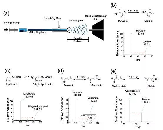 2019年硫酸亞鐵廠家玄學還是科學?微米級水滴竟是高效還原劑