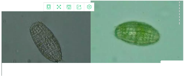 ��(y��u)�|(zh��)�����V�ϏS����ˮ̎��ָʾ��΢�����ȫ!����������