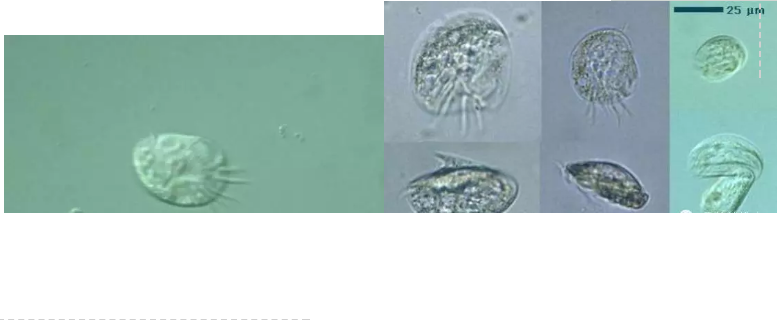 ��(y��u)�|(zh��)�����V�ϏS����ˮ̎��ָʾ��΢�����ȫ!����������