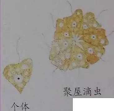 ��(y��u)�|(zh��)�����V�ϏS����ˮ̎��ָʾ��΢�����ȫ!����������