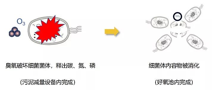 2019������ʽ�w�S�V�����a�S�ҷ���Һ���՚���ˮ̎���ИI�đ��ü��g�ͷ���