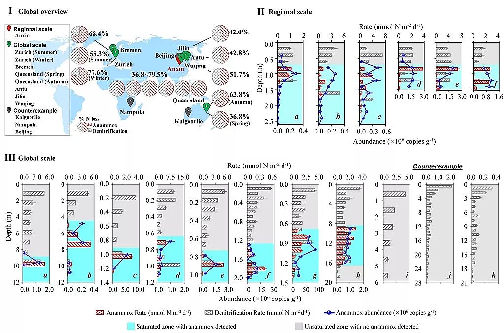 2019年磁鐵礦濾料生產廠家“出淤泥而不染”全球地下含水層系統厭氧氨氧化氮流失方面取得新進展