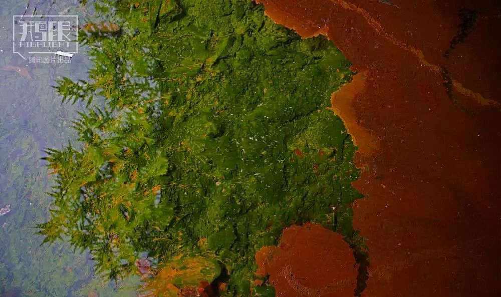 2019年堿式氯化鋁廠家發布重金屬和“毒水”陰影下的村莊:十年無人治理,農田被染成鐵銹色