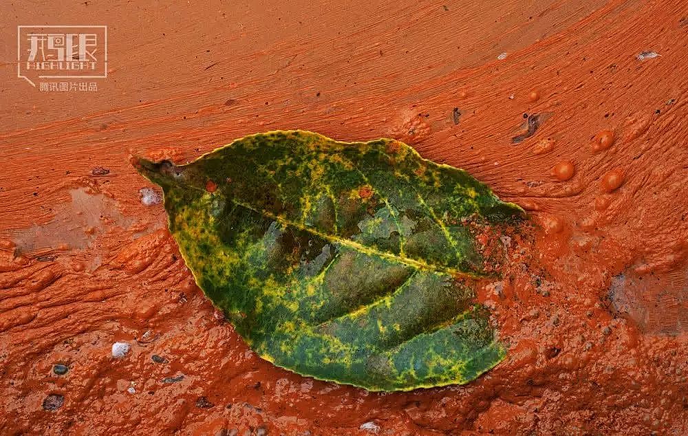 2019年堿式氯化鋁廠家發布重金屬和“毒水”陰影下的村莊:十年無人治理,農田被染成鐵銹色