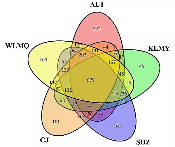精制結晶氯化鋁生產廠家干旱寒冷地區氧化溝工藝活性污泥的菌群結構