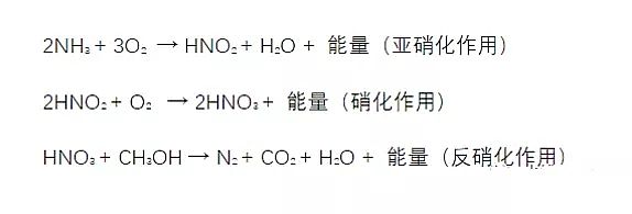 2019���ʯ�V�����a�S�ҿ����@ƪ������͕��붮����ؼ����ؼ�����}��ؼ�������}��ؼ�Pʽ��