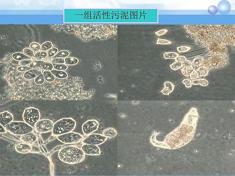 2020��������c���a(ch��n)�S��PPTԔ��������෨ԭ���c����