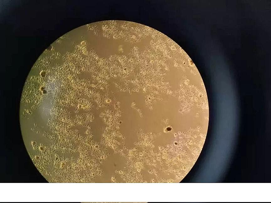 2020年聚合氯化鐵PAFC生產廠家硫化物生化系統的影響