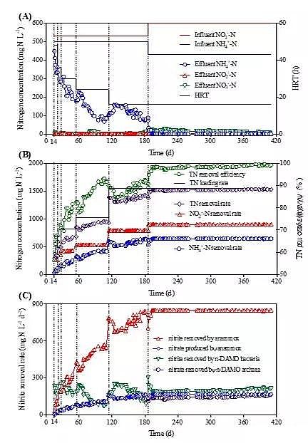 2020年曝氣器生產廠家一段式完全脫氮新技術PNAM:短程硝化+厭氧氨氧化+厭氧甲烷氧化