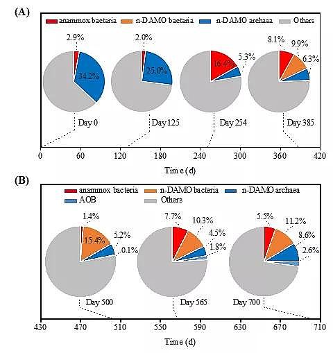 2020年曝氣器生產廠家一段式完全脫氮新技術PNAM:短程硝化+厭氧氨氧化+厭氧甲烷氧化