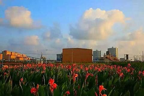 2020年聚合氯化鐵PAFC廠家開創BOO冶金行業環境治理新模式