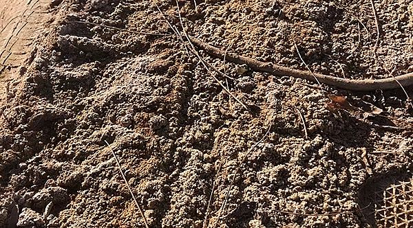 2019�����������V���a�S���v����ɳĮ��Ⱦ�{�飺��ұ���Iǰ������ˮ���