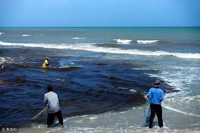 2020年泡沫濾珠濾料EPS廠家爆發!2020年 污泥無害化處置市場規模將翻倍