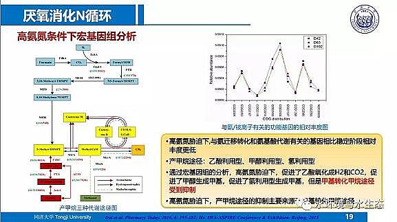 ˮ̎��V�ϏS����ĭ�V��V��EPS������ˮ�S����̎�ù�ˇ���g·��